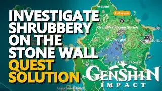 Investigate the shrubbery on the stone wall Genshin Impact