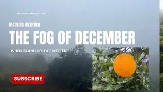 The Fog of December: Madeira's Wet Season Brings Us Beautiful Sights