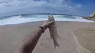 Spinning Praia da Foz vd2