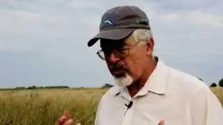 PuraMaize Combating GMO Contamination