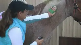 Winter Grooming Supplies for Horses