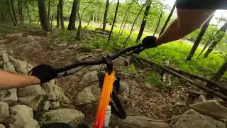 Deep Creek Lake State Park - Thayer Trace Trail (Purple Trail)