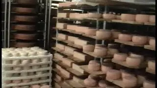 Käseeinkauf in der Alpkäserei auf der Gerschnialp in Engelberg