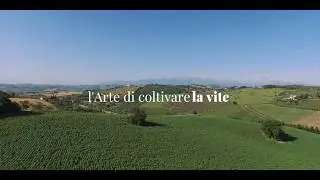 Nicodemi Winery