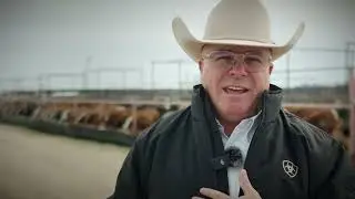 Santa Teresa Livestock Auction