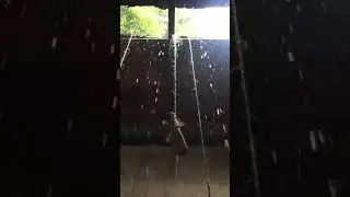 pendulum brush w rain, 00:21