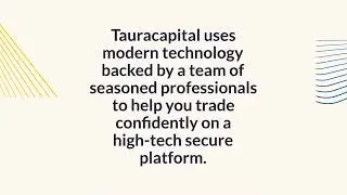 TauraCapital Review for 2024: In-Depth Analysis by Crypto Frontline