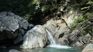 Pescata di ferragosto: trote selvatiche a mosca in Appennino