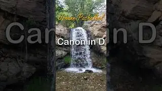 Canon in D (Pachelbel) #baroque #shorts