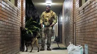 USAF MWD Explosives Detection Training