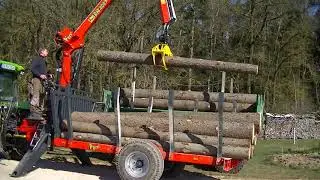 Holz von Sturm 