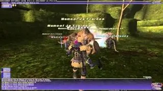FFXI Assault: Sagelord Elimination (Superior Private) uncapped
