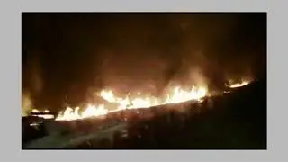 Amazon rainforest fire