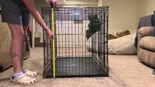 Midwest Homes for Pets iCrate XL Dog Crate REVIEW