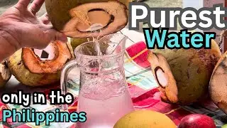 Best Water To Drink//Simple Life