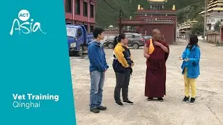 Quinhai Vet Training