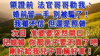 領證前 法官哥哥勸我：婚前留一手 別被騙了！我雖不信 但還是照做，次日 准婆婆突然開口：兒媳婦 你那房子要不賣了吧，剛好給我兒子買輛好車！#小娟講故事 #情感故事 #老年生活