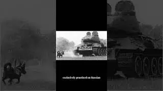 Россия обучала собак подрывать танки?!