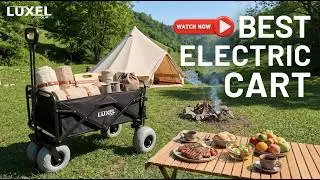 Electric Cart with Bubble Wheels for Sand & Terrain