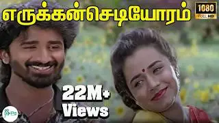 எருக்கன்செடியோரம்-Erukkan Sediyoram-S P B ,S Janaki Love Romance Melody Video Song