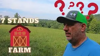 choosing our farm name?    #smallfarm  #homestead