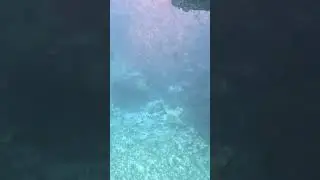 Tour en submarino en Canc&uacute;n: explorando el fondo marino#world #tourism #travel #beach #mexico