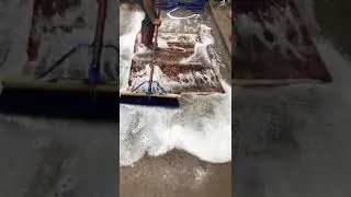 Expert Professional Rug Cleaning Process #shorts #dallas #frisco #plano