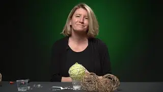Take & Make Crafts: Twine Balls Demo
