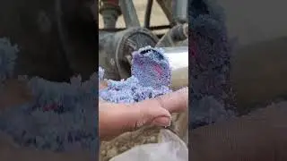 #amazon #automobile #diy #silencer#art😋🤣🤣👍👍✌