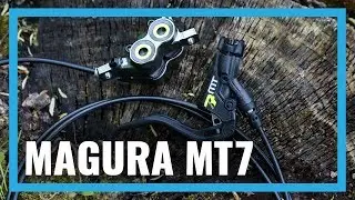 Magura MT7