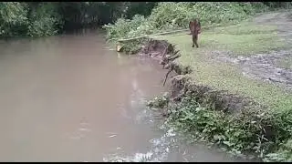 Sonarisal r Barnadi