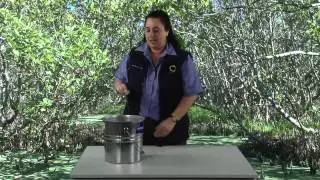Fieldwork Techniques 1 - Water Temperature