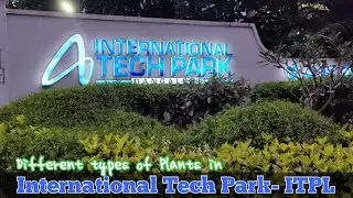 Different types of Plants in ITPL Bangalore | International Tech Park #itpl #techpark #bangalore