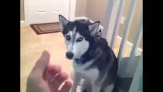 Comic Vine Compilation Videos 263