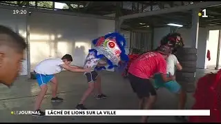 Les lions s’éveillent pour le nouvel an chinois