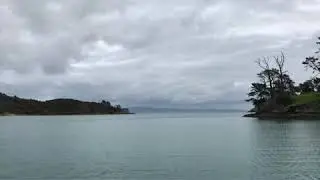 Te Kouma