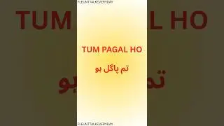 HOW TO SAY IT IN ENGLISH: TUM PAGAL HO #talkfluent #urdutoenglish