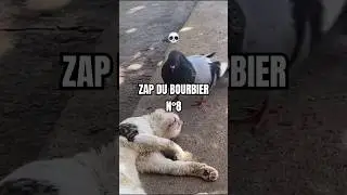 ZAP DU BOURBIER N&deg;8 💀