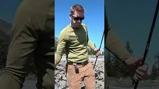 Epic Wildlife Encounter From Starfish to Eagle in One Fishing Trip