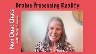 Brains processing reality #AlexShailer #nonduality