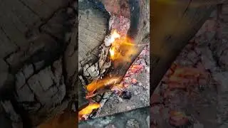 Car Camping Mini Vlog🏕#outdoors#nature#toyota#adventure#vlog#shorts