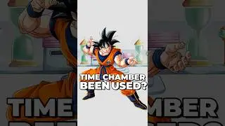 Everytime the Time Chamber was USED?!