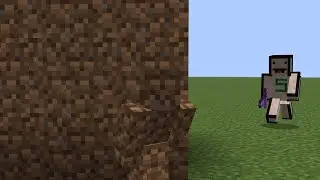 Camo Hide And Seek