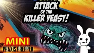 Attack of the Killer Yeast