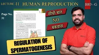 Best Ever Study of Regulation Of Spermatogenesis | Human reproduction | L - 11 | 12th Biology NCERT