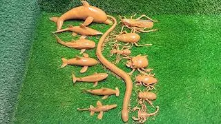 Messy Sea Animals & Insects Exploration in the Mud🐳🪲Learning Fun Facts for Kids!