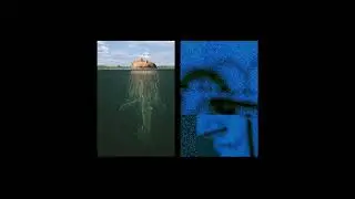 Echoes Sustain Permanently (Cicatriz) - The Mars Volta Remix - Douglas Robert McCurdy