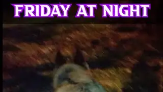 Friday at Night with Mayia🌙🐕 | Live Night Walk