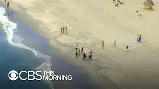 As warmer weather begins, American beaches prepare for surge amid COVID-19