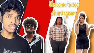 ANIMALS OF INSTAGRAM |HUMANS ZOO🤣 ROAST